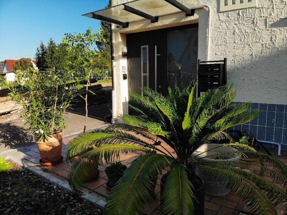 Gemuetliche 3 Zimmer Wohnung Mit Grosszuegiger Terrasse Im Gruenen Reutlingen Kültér fotó
